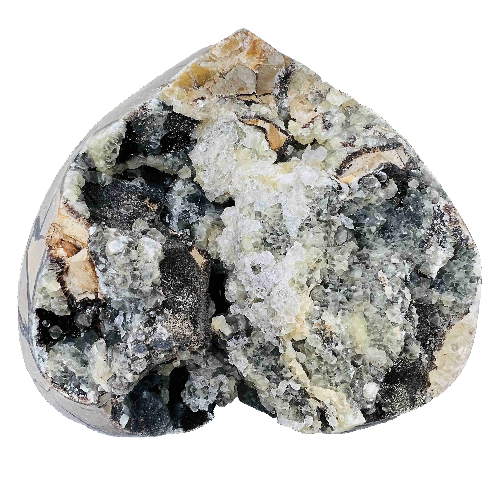 Natural Dragon Septarian Geode Egg Quartz Crystal Rock Reiki Healing 1871G
