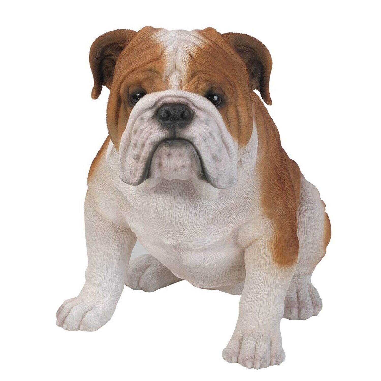 Realistic Life Size Bulldog Statue Detailed Glass Eyes Hand Painted Resin 18 ...