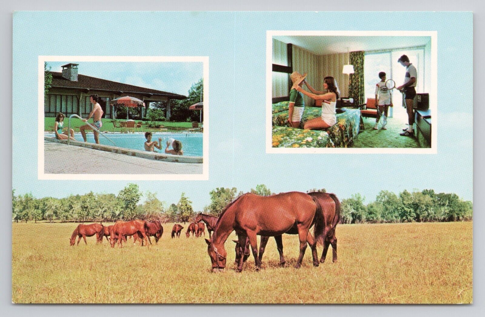 Postcard Sheraton Country Inn Ocala Florida