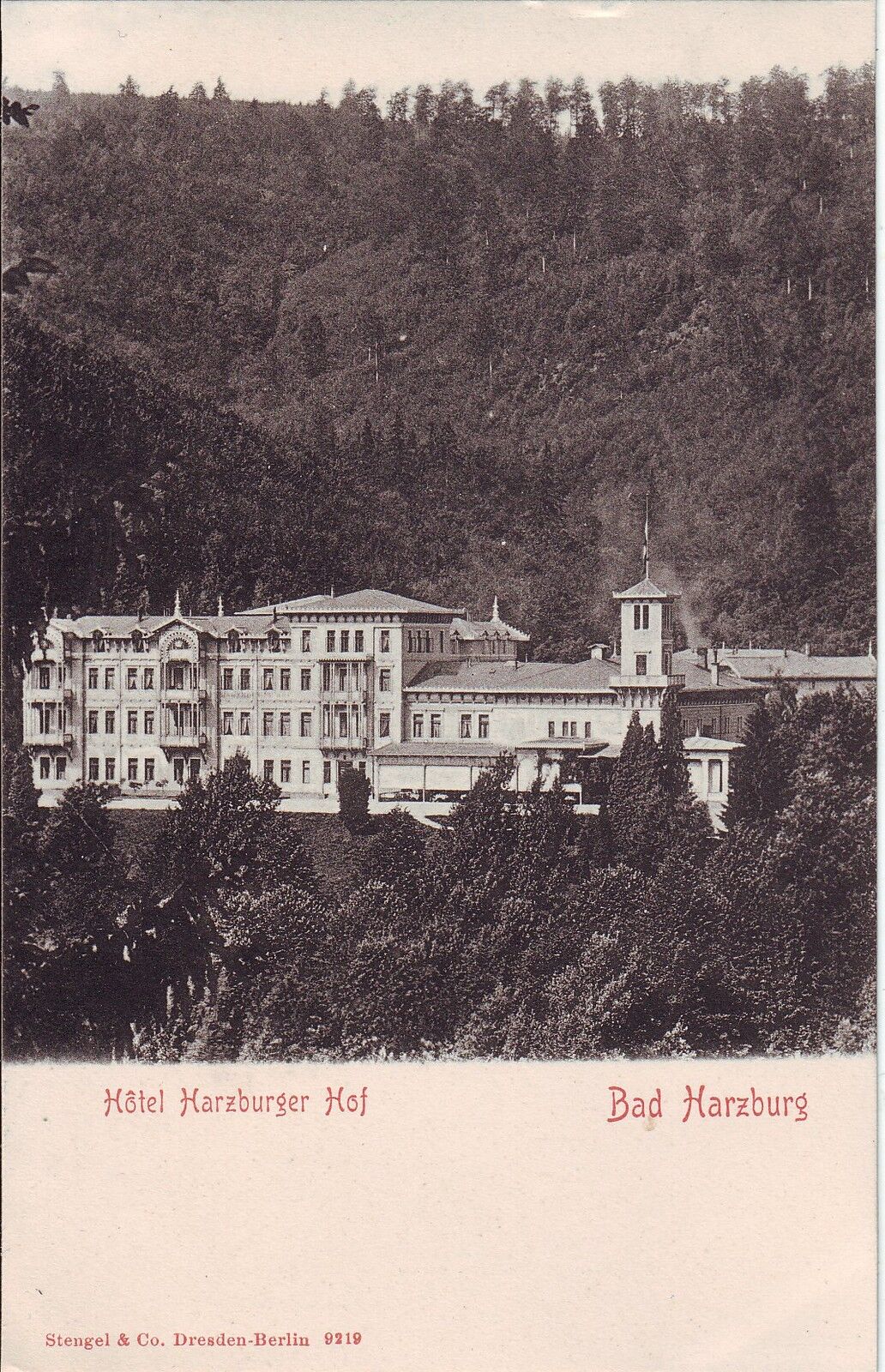 Germany AK Bad Harzburg - Hotel Harzburger Hof undivided back unused postcard