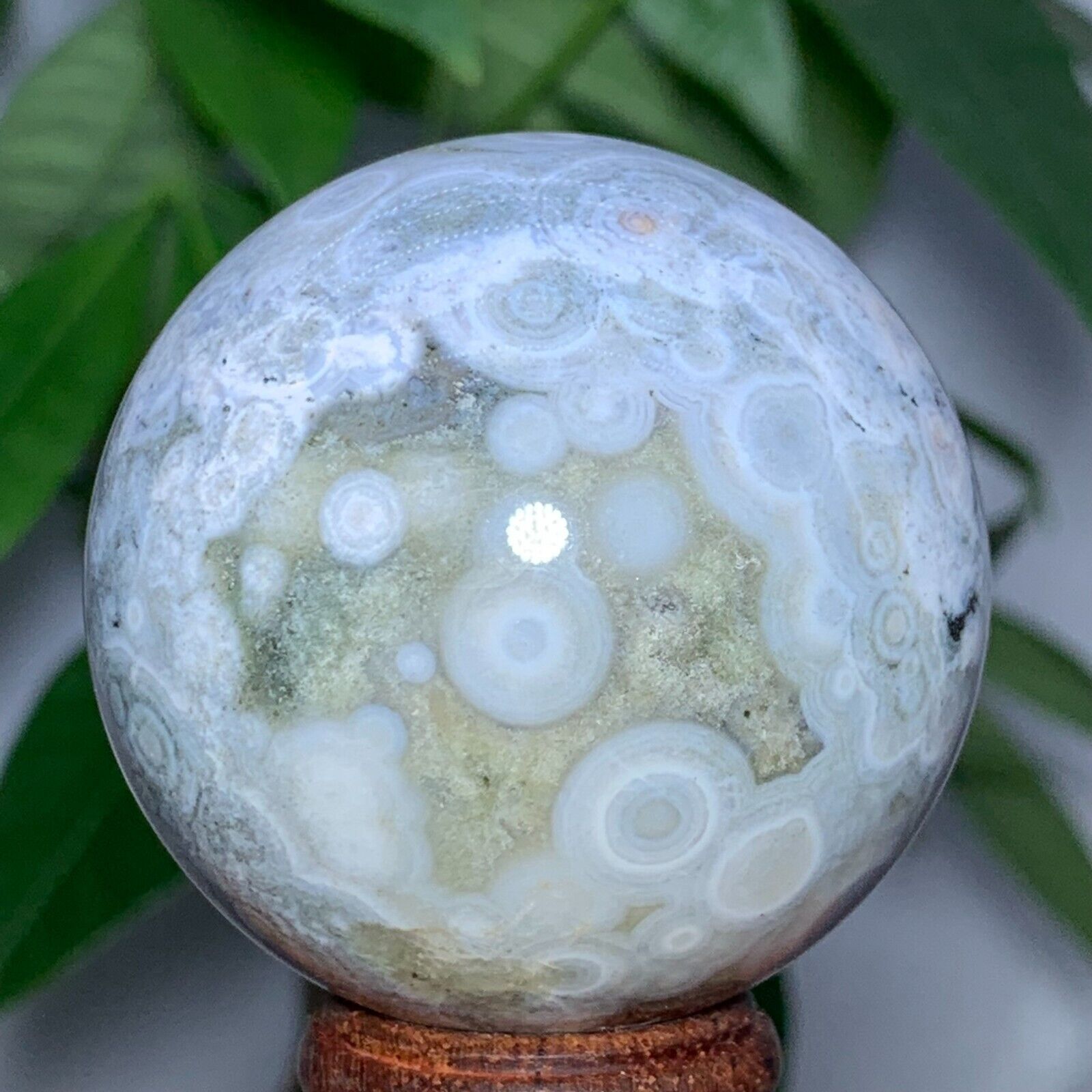 182g Rare Natural Ocean Jasper Sphere Quartz Crystal Ball Reiki Stone
