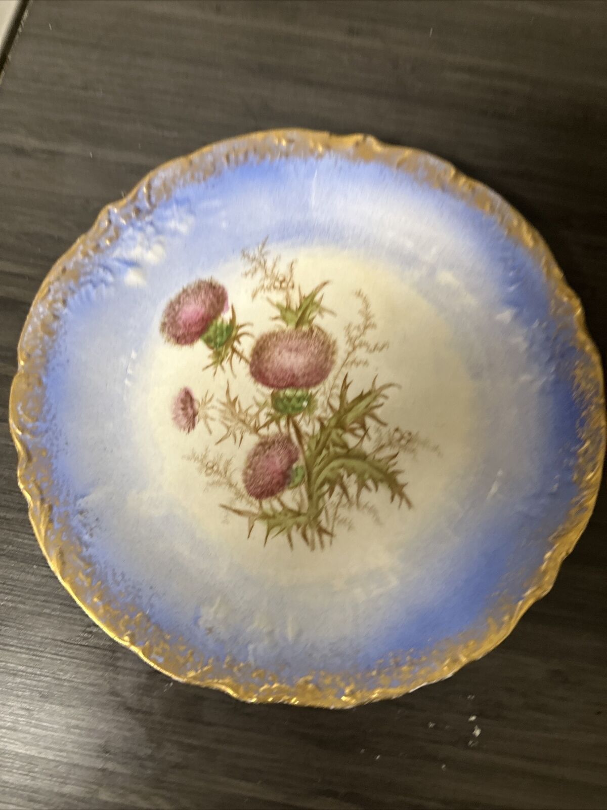 Antique Blue “The Sebring Porcelain”  Plate Potter Flowers 12.5 Inches