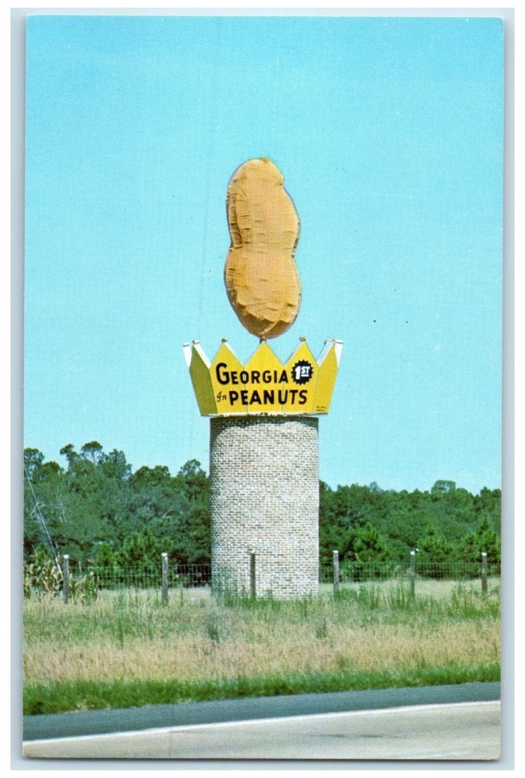 c1960\'s Monument To Georgia\'s Number 1 Cash Crop Ashburn Georgia GA Postcard