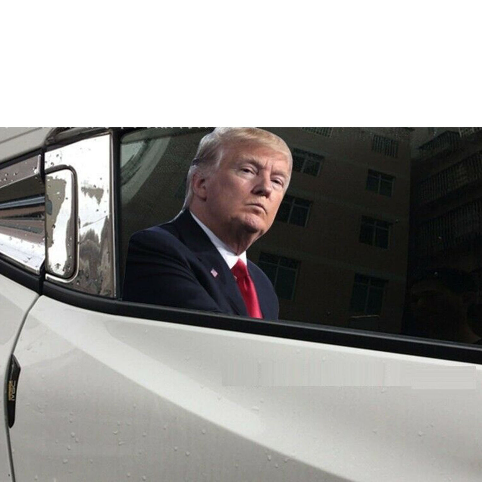 2020 President Donald Trump Car Sticker Real Life Person Size Passenger Window