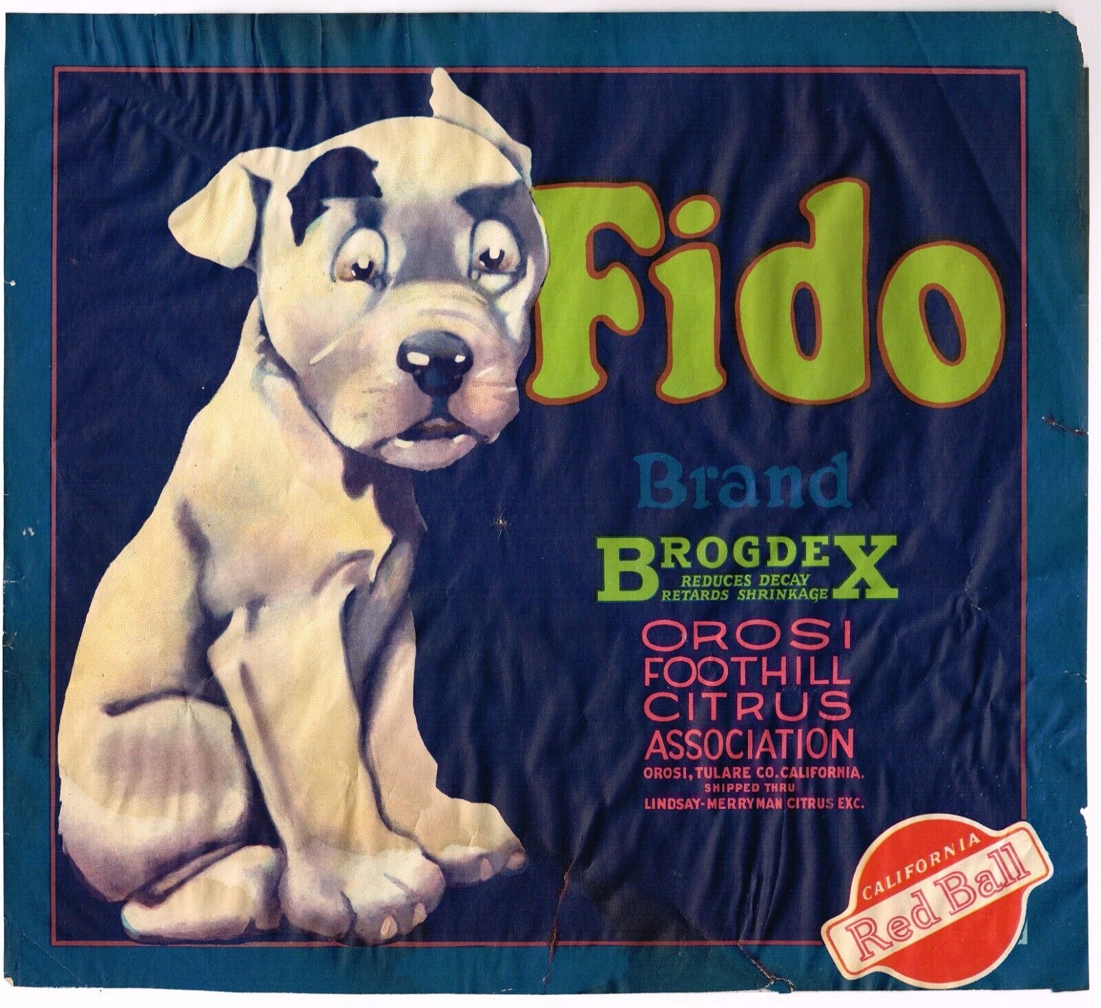 ORIGINAL FIDO CRATE LABEL VINTAGE PIT BULL BONZO DOG 1930S VERY RARE ORANGE
