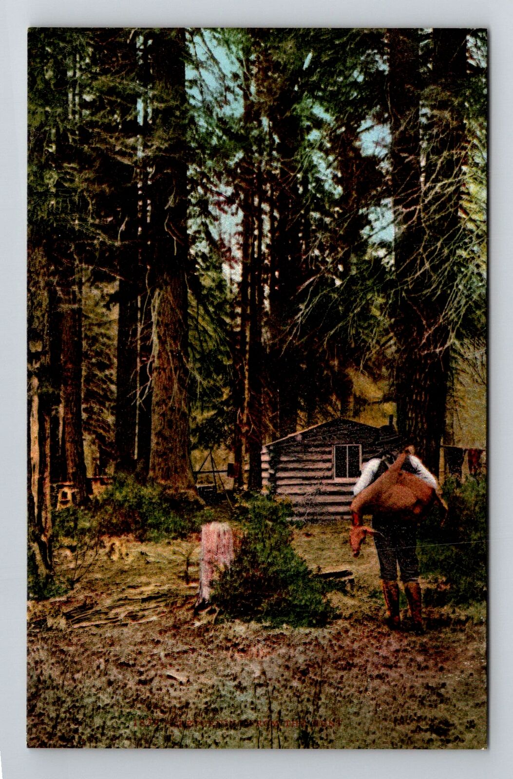 Wilderness Person Out In The Woods, People, Vintage Postcard