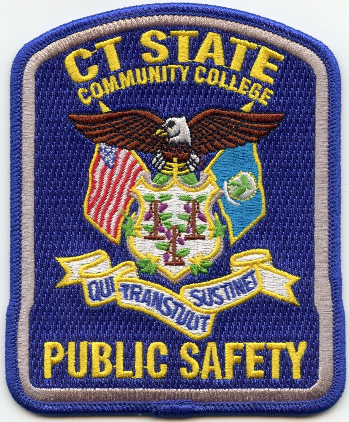 CONNECTICUT STATE COMMUNITY COLLEGE PUBLIC SAFETY CAMPUS POLICE PATCH