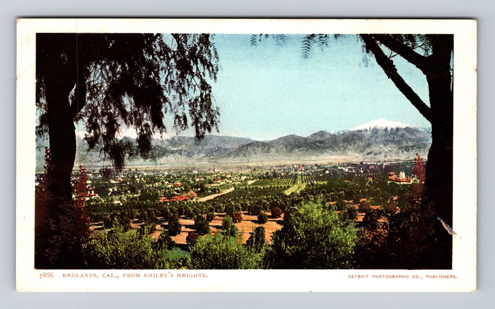 Redlands CA-California, Scenic View From Smiley's Heights, Vintage Postcard