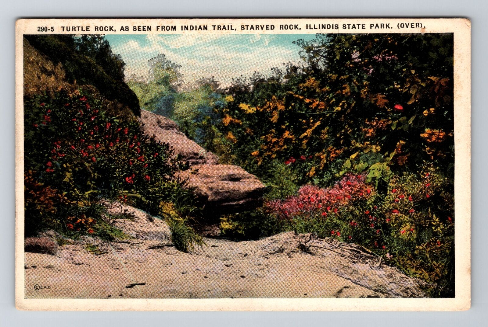 Starved Rock IL-Illinois, Starved Rock State Park, Turtle Rock, Vintage Postcard