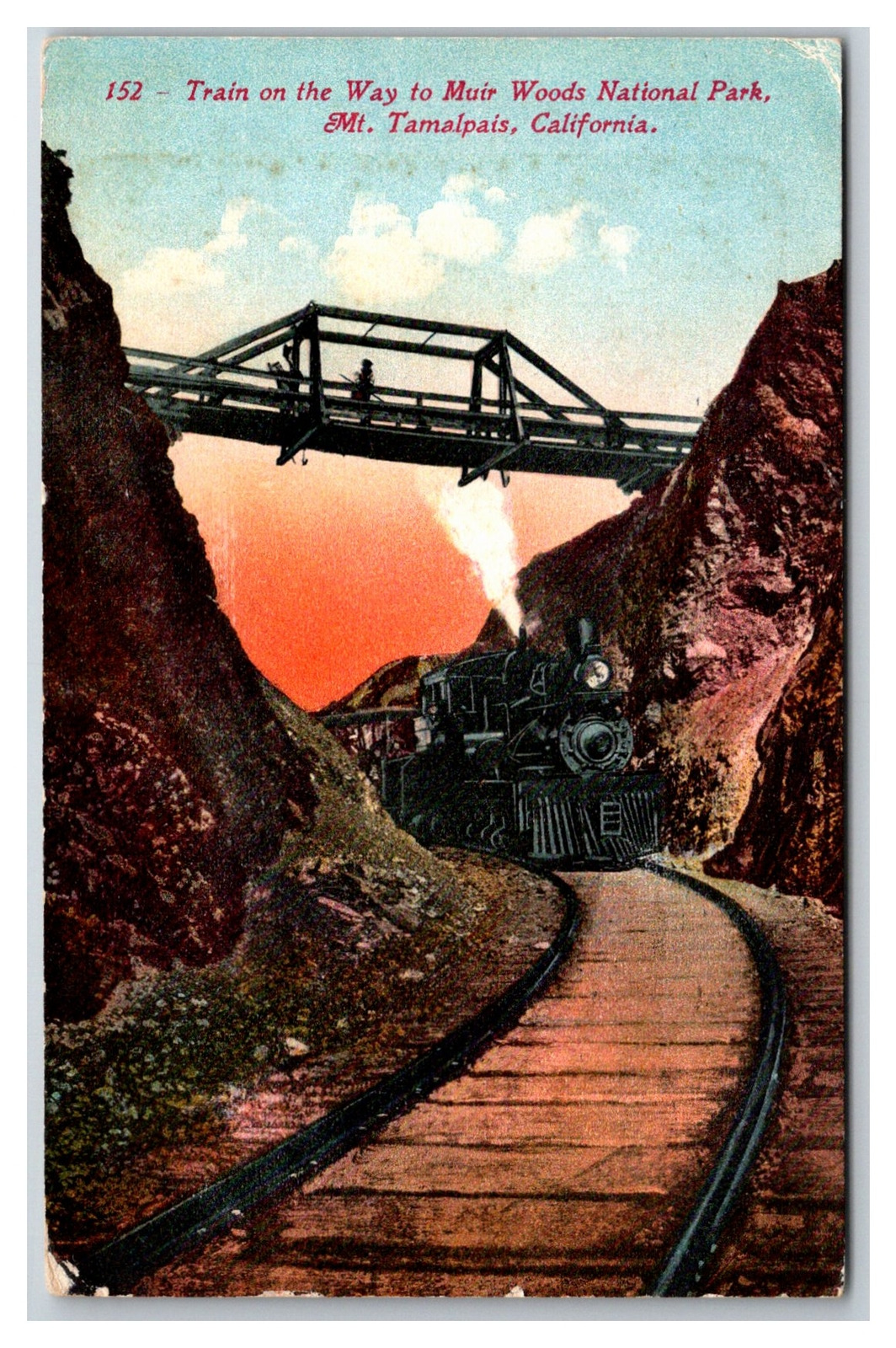 CALIFORNIA MT TAMALPAIS 1915 RAILROAD TRAIN MUIR WOODS