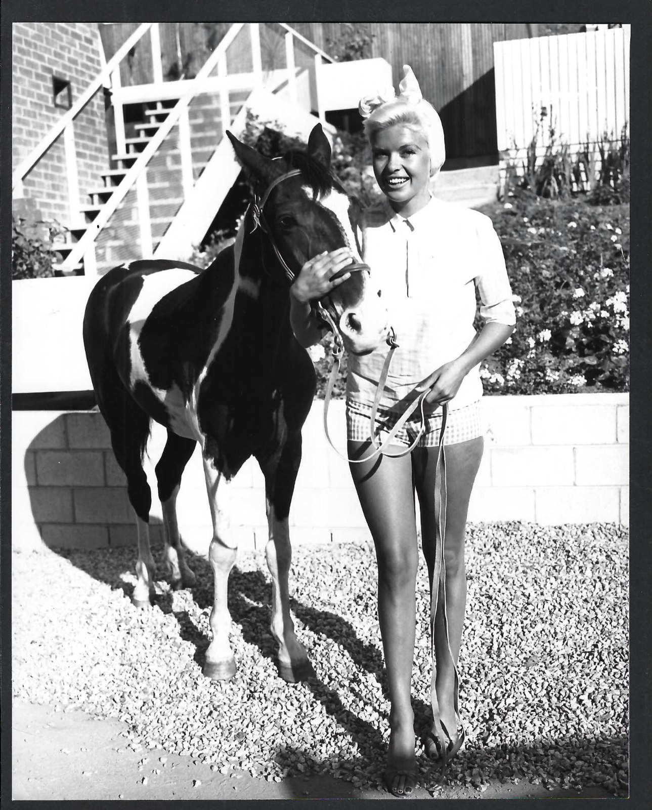 BEAUTY JAYNE MANSFIELD ACTRESS VINTAGE 1957 ORIGINAL PHOTO