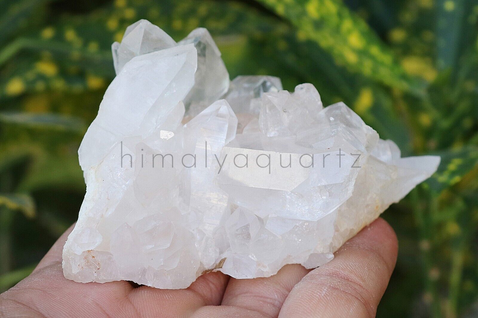 190gm Natural Beautiful white Quartz Crystal Cluster POINT Mineral Specimen