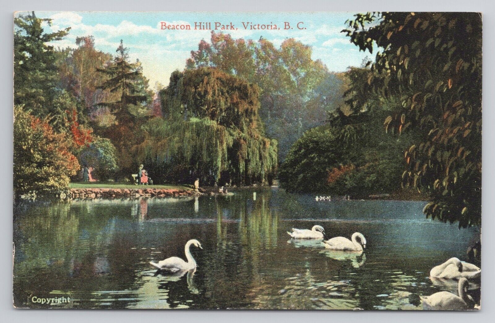 Postcard Beacon Hill Park Victoria BC