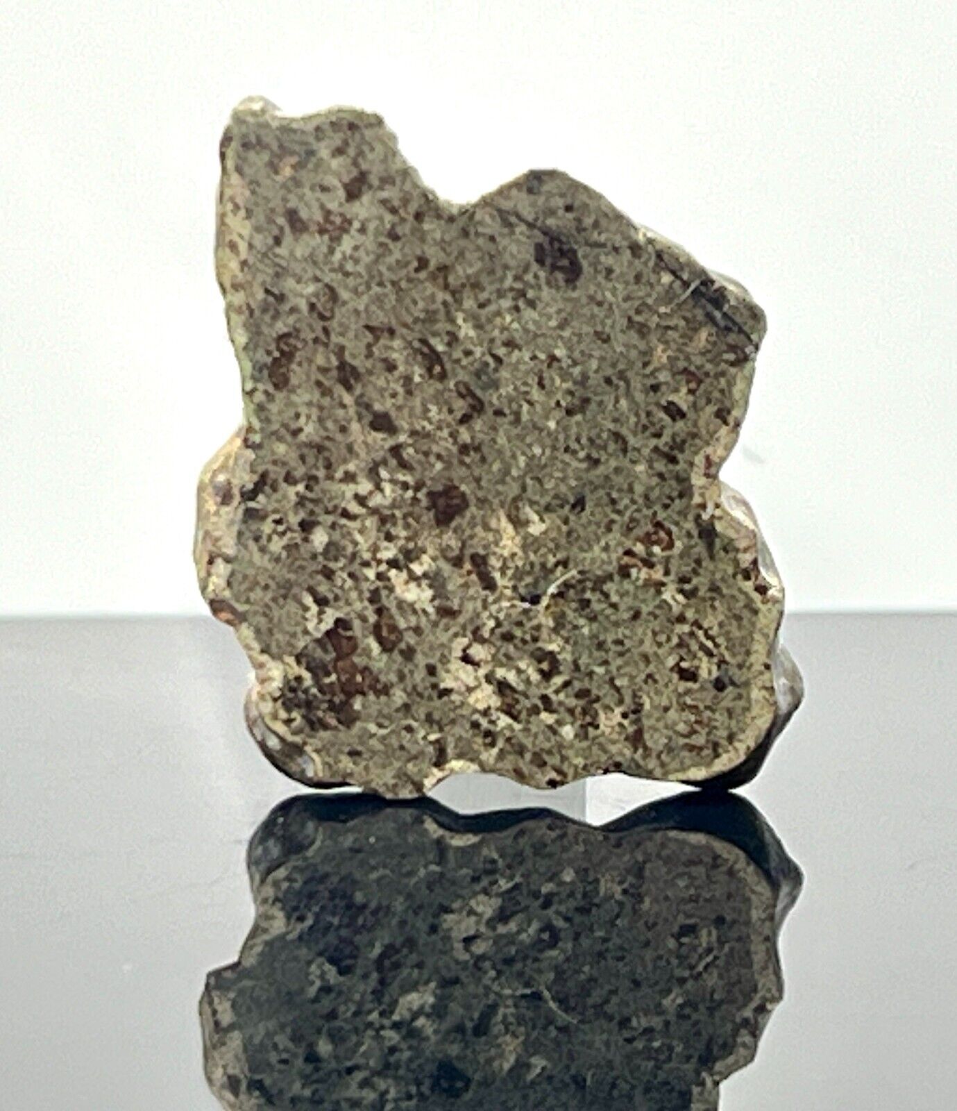 AMGALA 001 (4.564g) Martian Shergottite Meteorite End Cut IMCA #s 6236 & 7294