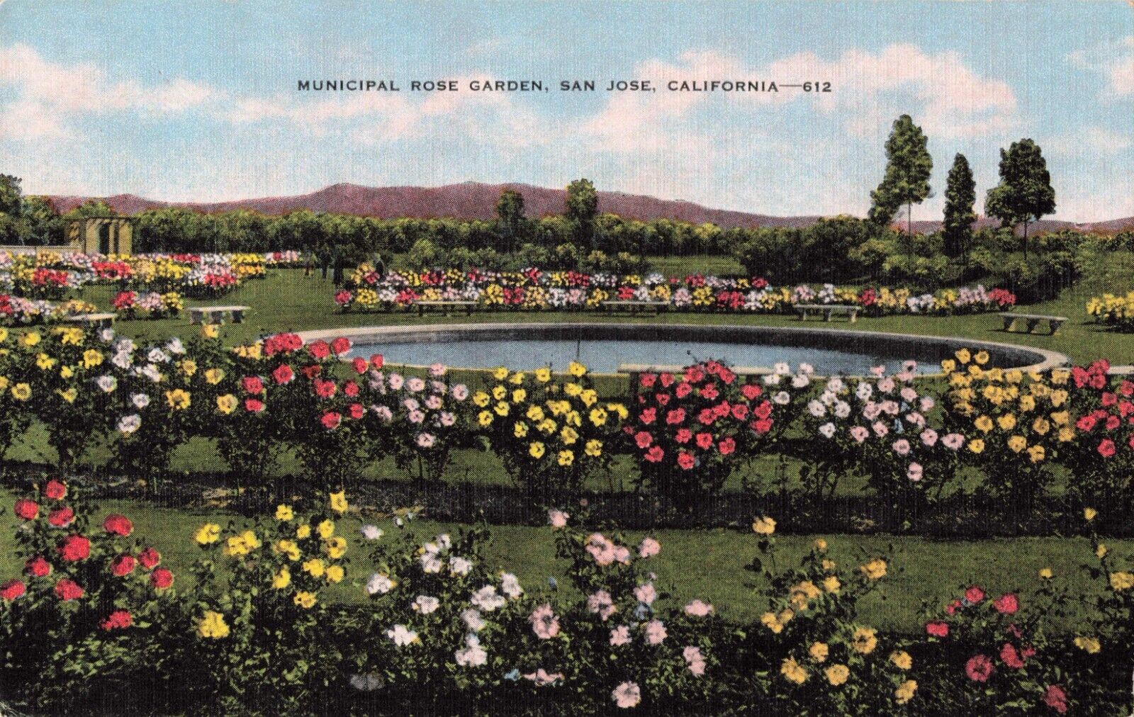 San Jose CA California, Municipal Rose Garden, Vintage Postcard