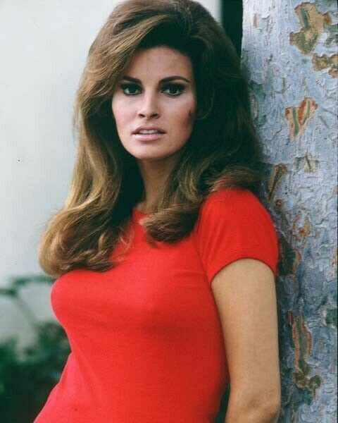 Raquel Welch wears clinging red t-shirt classic 1967 pose 24x36 poster