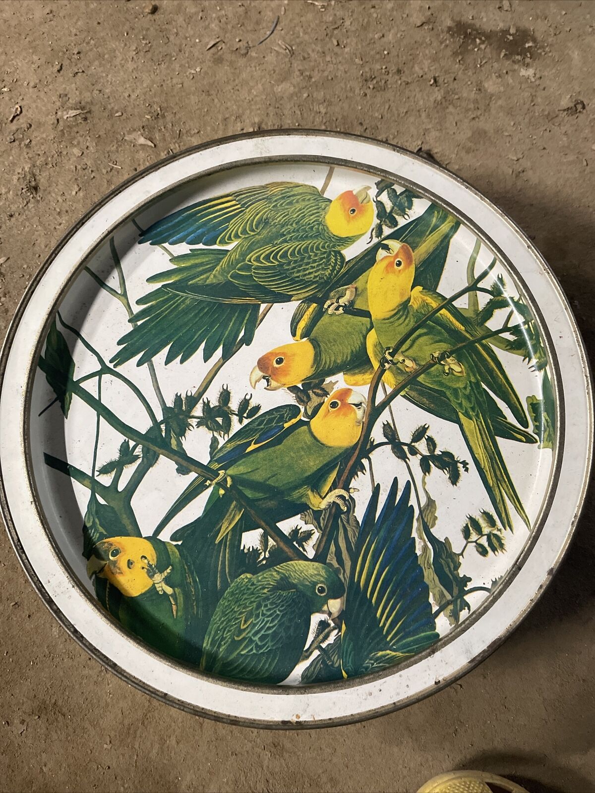 Vintage Tin Sunshine Biscuits BIRDS OF AMERICA - John Audubon
