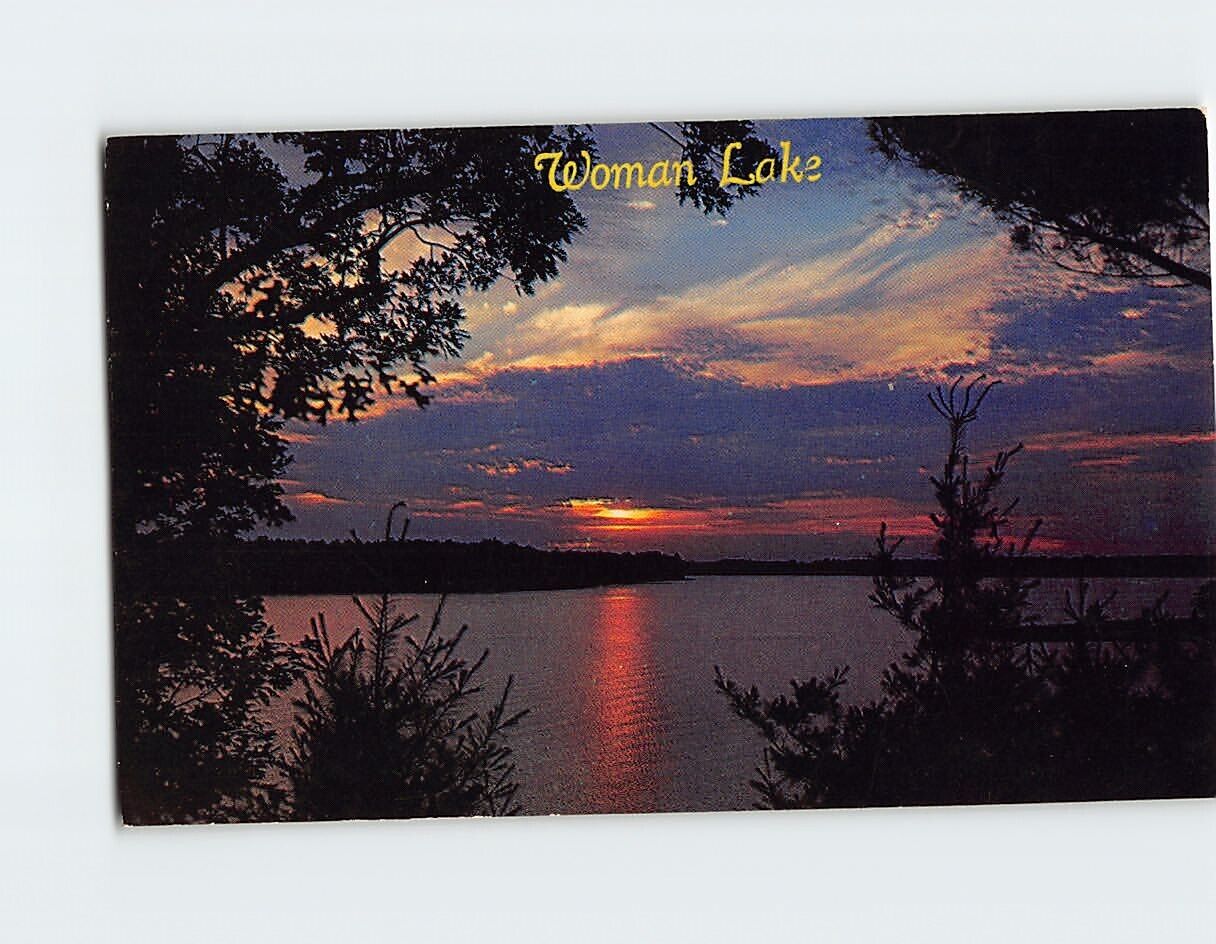 Postcard A Melody of Color in Silhouette Woman Lake, USA