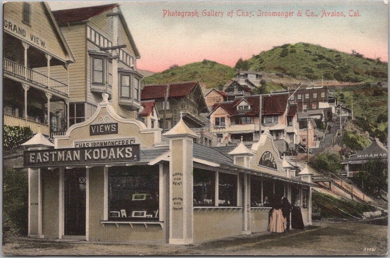 CATALINA ISLAND CA Postcard Photograph Gallery of Chas. Ironmonger /Hand-Colored