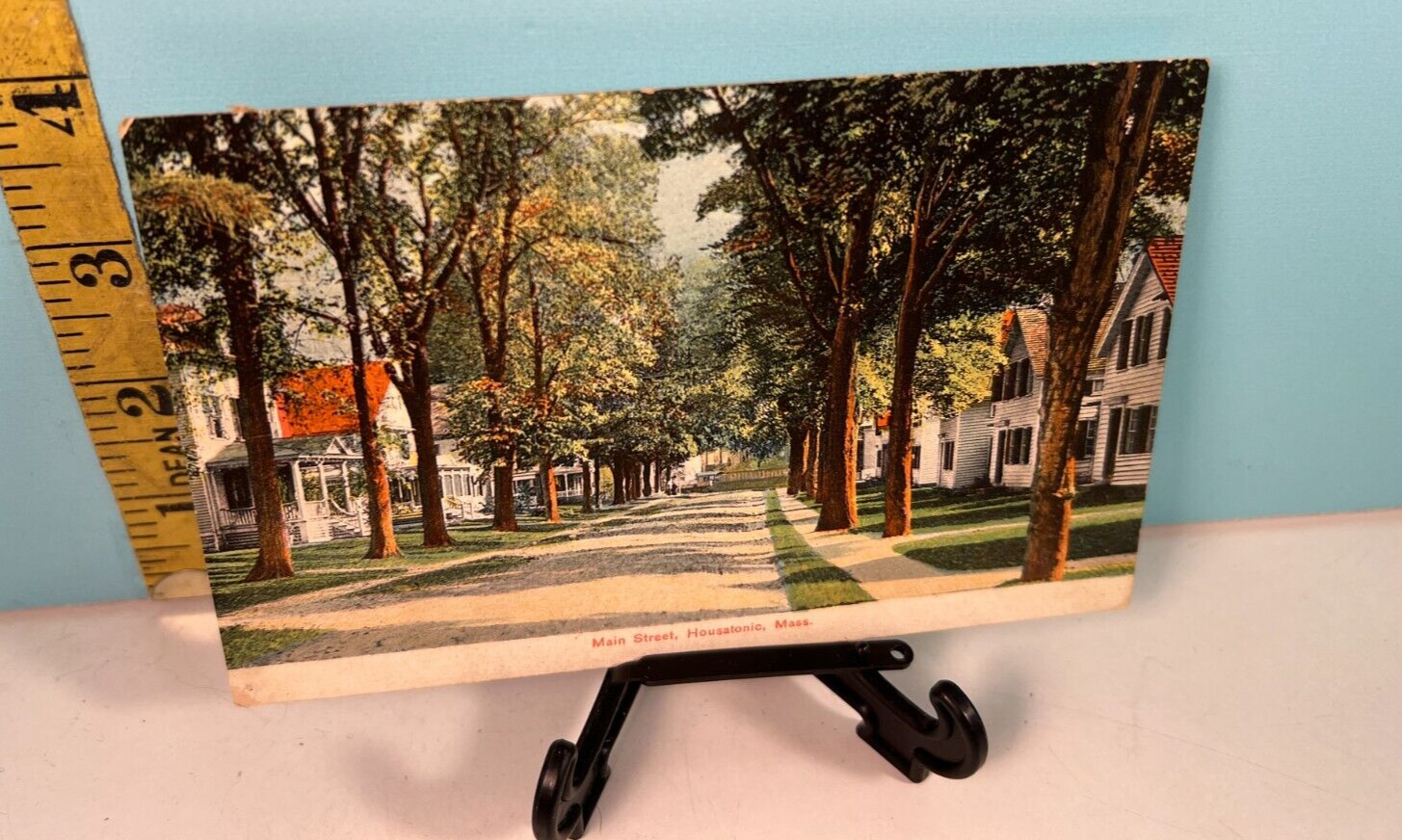 1908 beautiful tree lined Main street Housatonic, Mass postcard.
