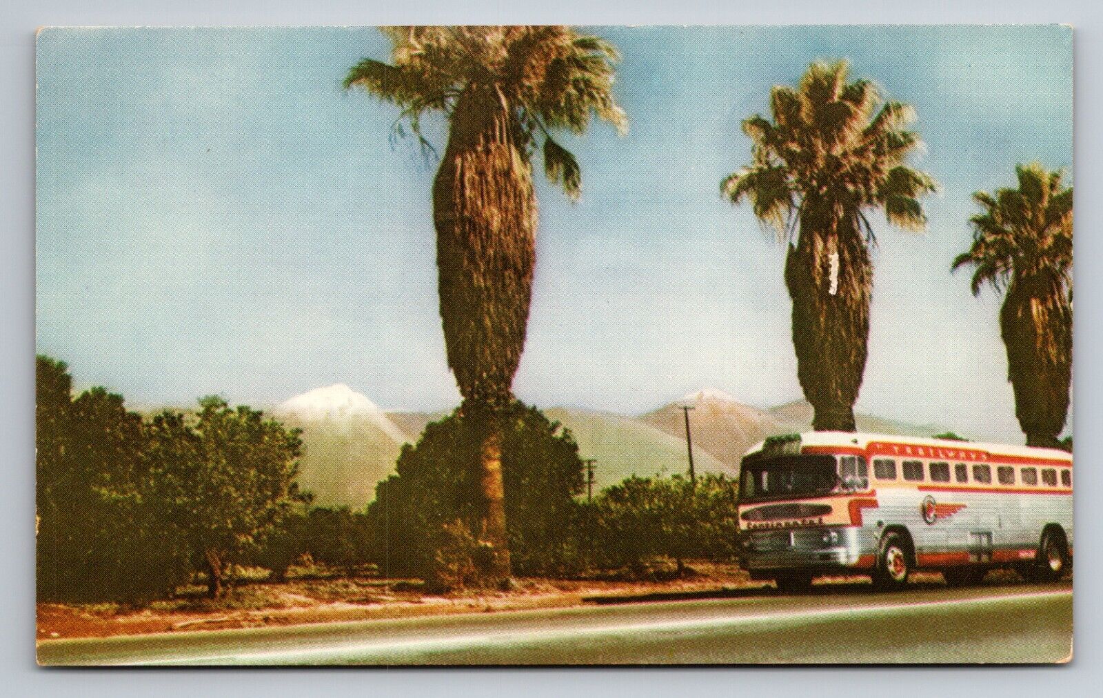 Southern California's Mount Baldy Trailways Bus Vintage Unposted Postcard