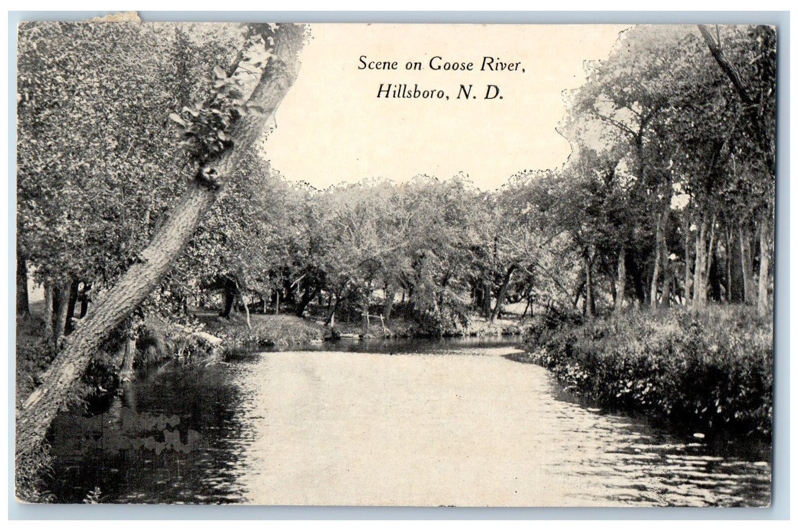 Hillsboro North Dakota ND RPPC Photo Postcard Scenic View On Goose River 1910