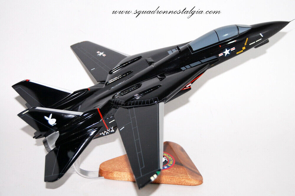 VX-4 Evaluators F-14 Model, 1/42 (18