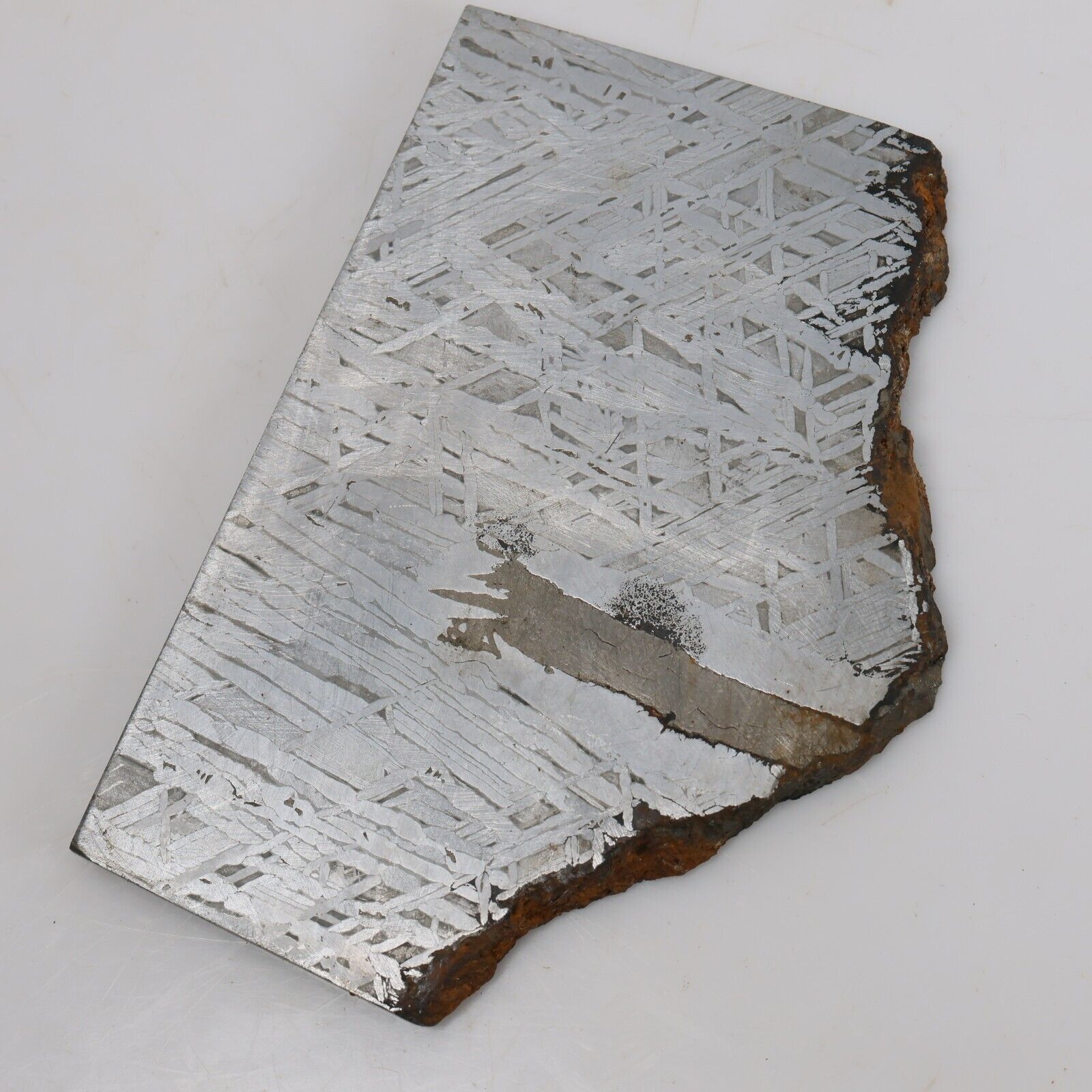 251g Muonionalusta meteorite slice R1909