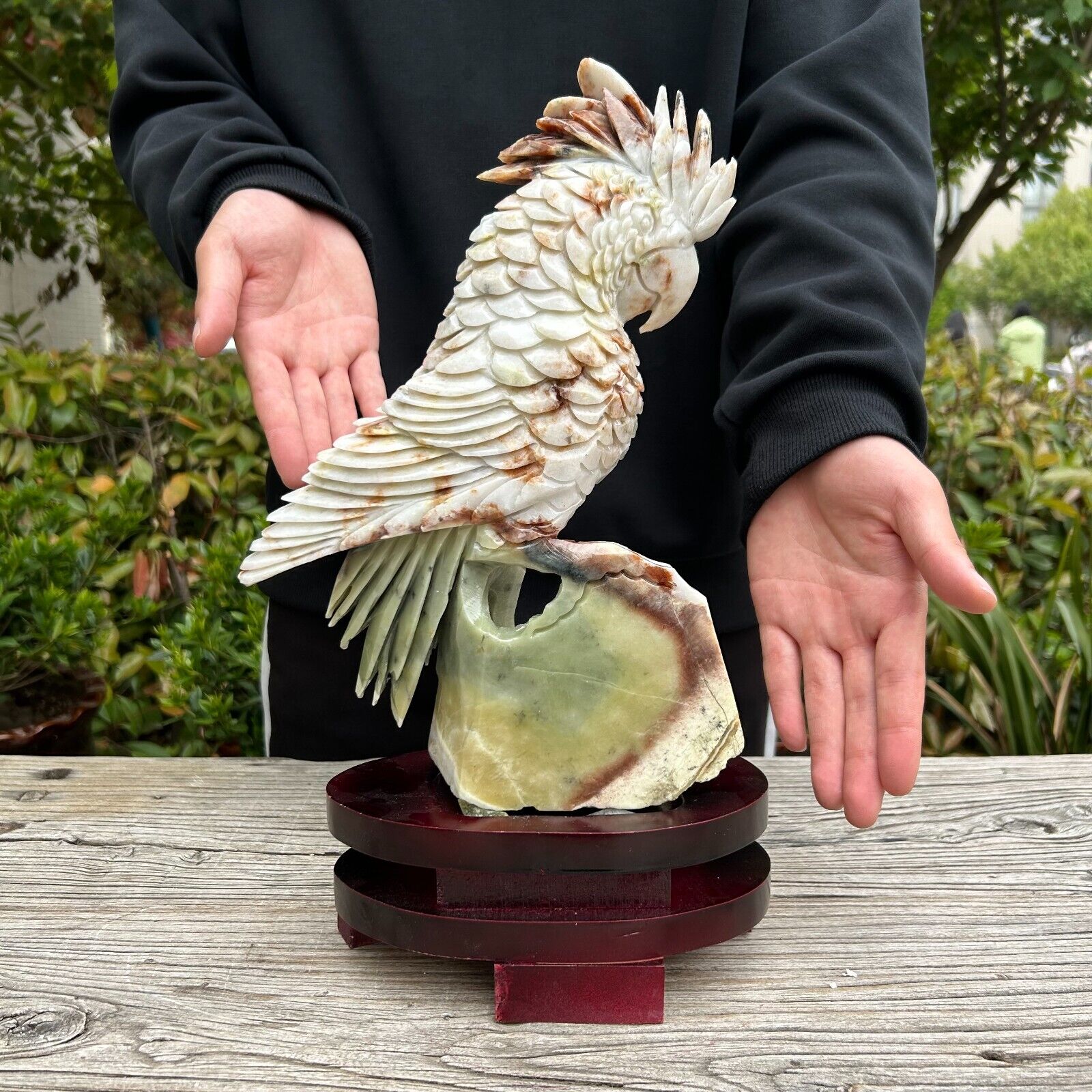8.3LB 12.2'' Natural Xiuyan Jade Parrot Quartz Sculpture Crystal Healing Decor