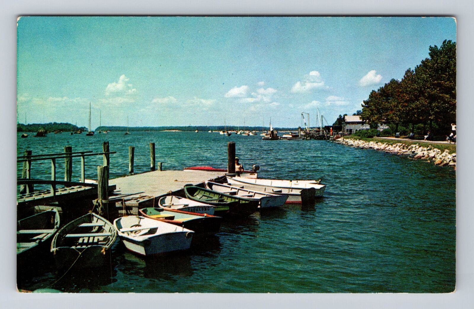 Long Island NY-New York, Rowboats and Yachts at Docked, Vintage Postcard