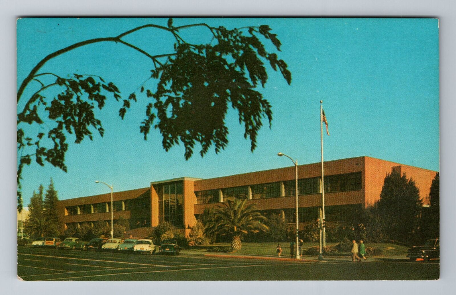 Fresno CA-California, City Hall, Vintage Postcard
