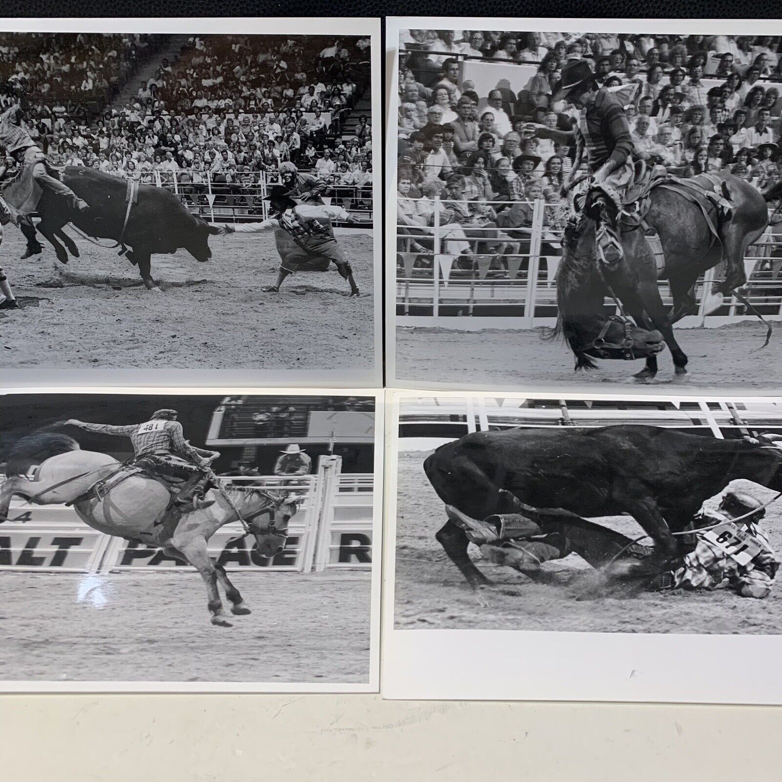 Vintage Rodeo Photos, (4) Photographs Bull Riding Bronco Riding Salt Place Utah 