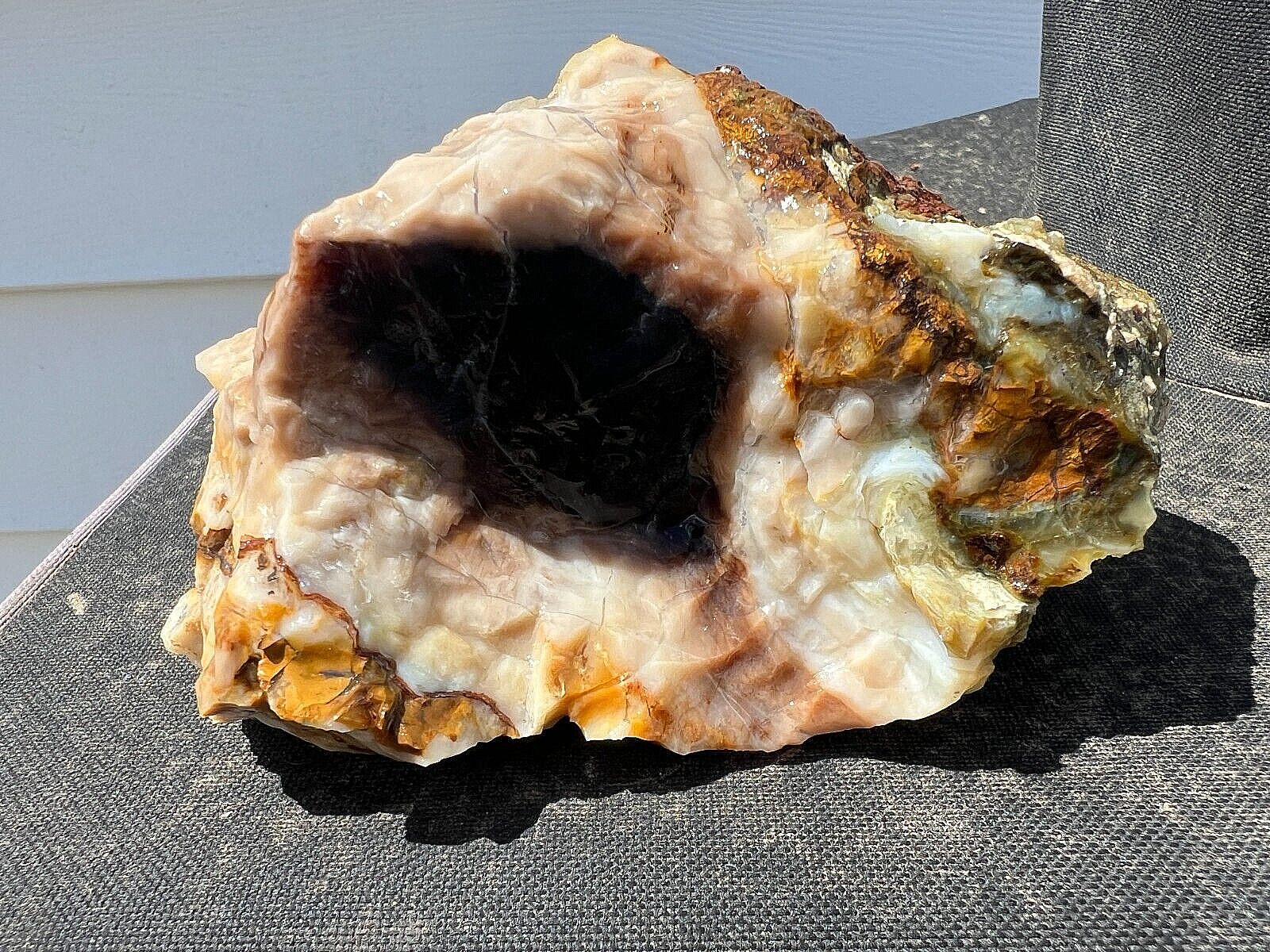 petrified wood rough agatized opalized special chalcedony agate 1lb 14oz display