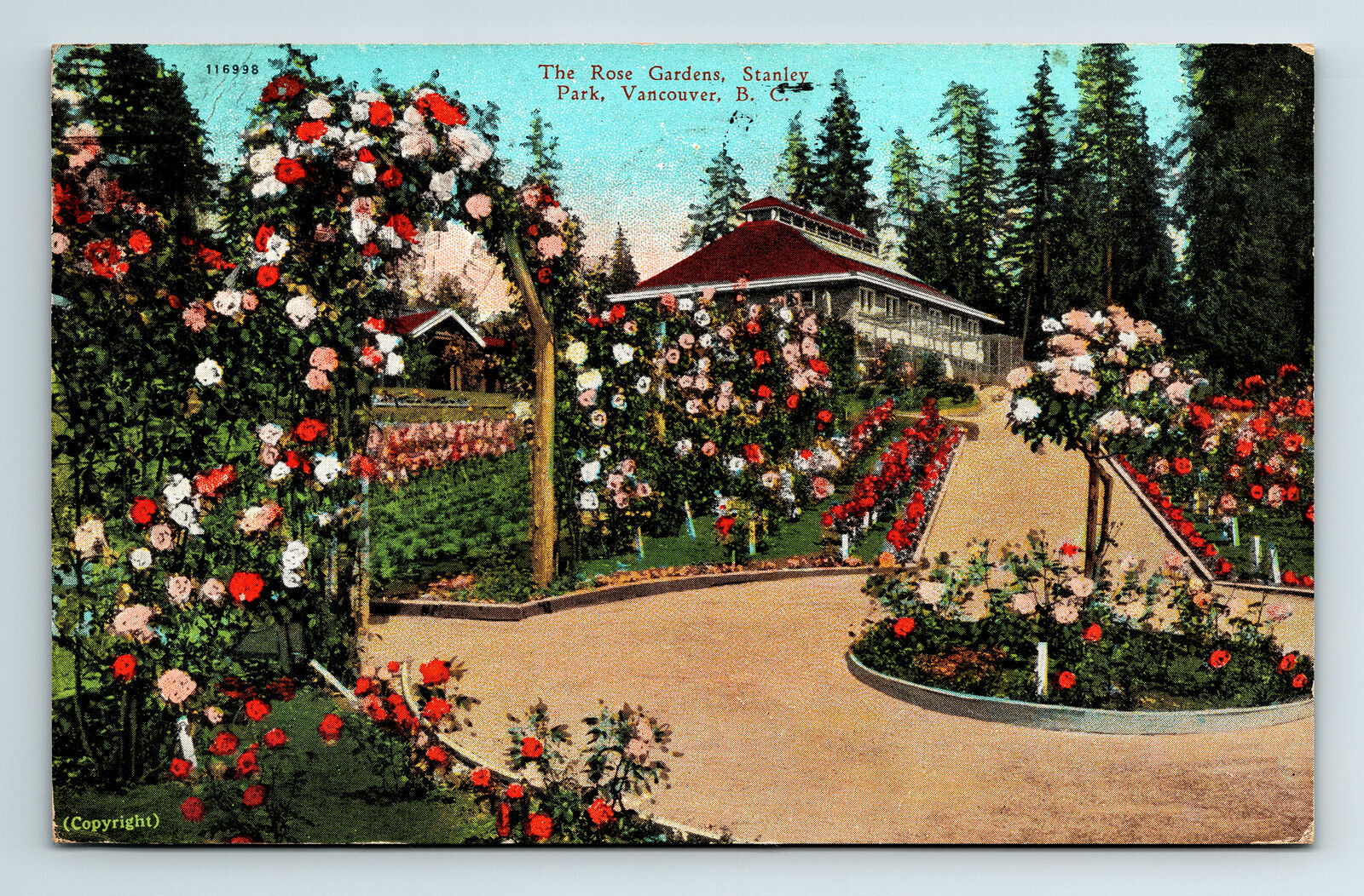 c1928 DB Postcard Vancouver Stanley Park Rose Gardens Flowers
