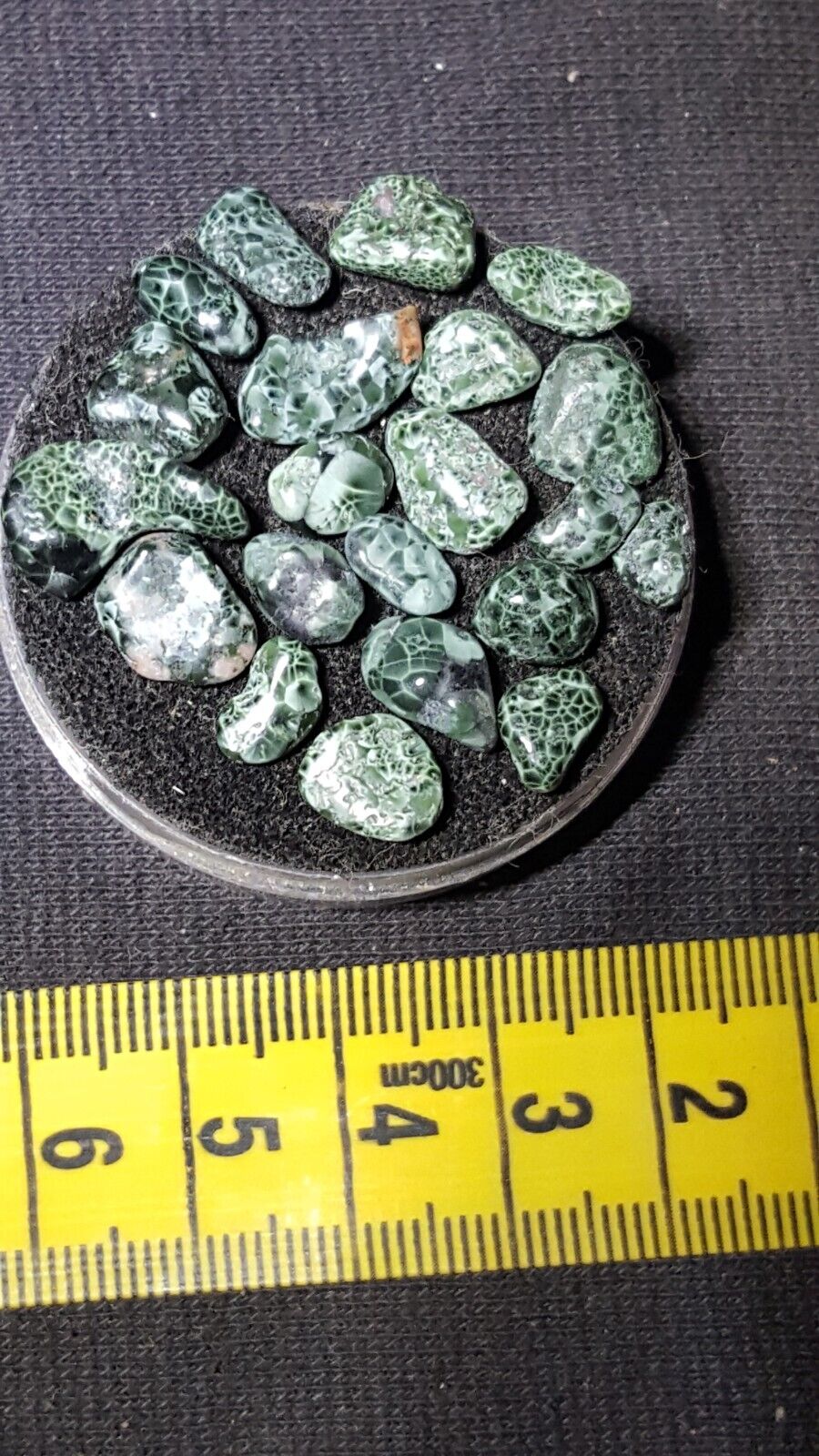 Polished Chlorastrolite Michigan Greenstone great looking gems.