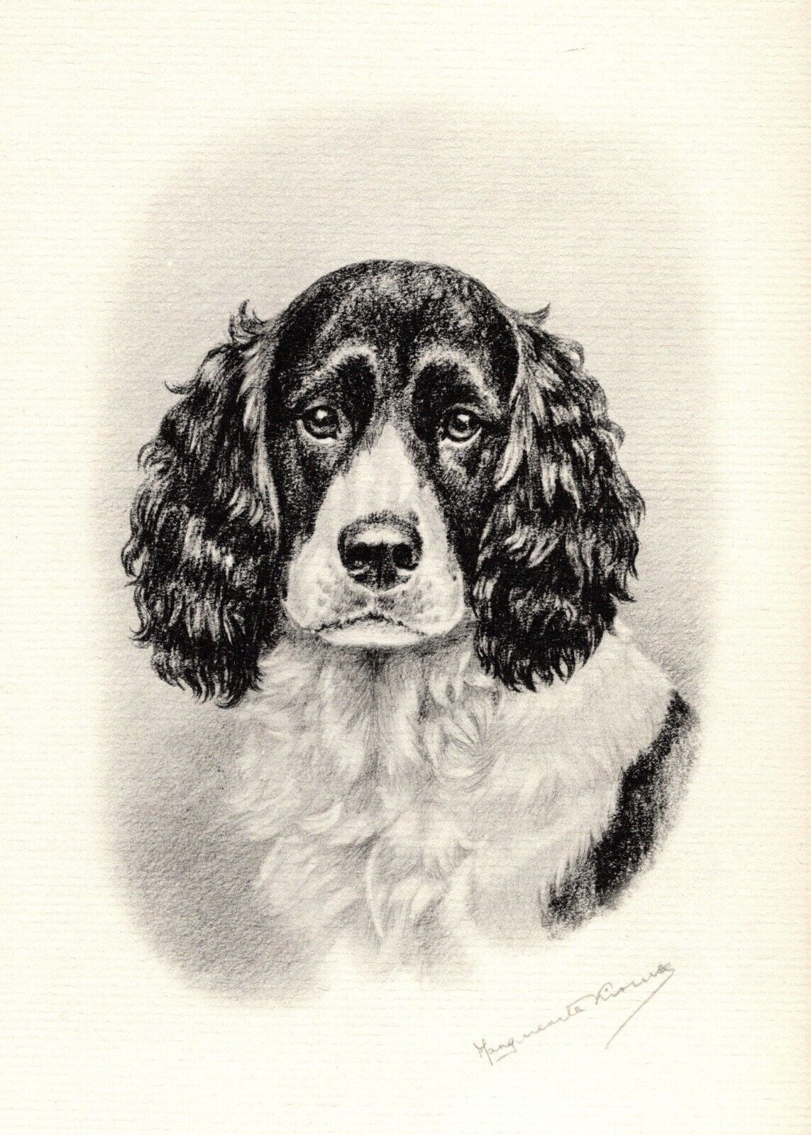Antique Marguerite Kirmse Springer Spaniel Print Hunting Dog Wall Art Decor 4959