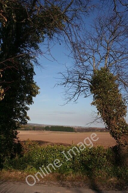 Photo 6x4 Near Ardgye Newton\\/NJ1663 Two ivy-covered trees by the access  c2011
