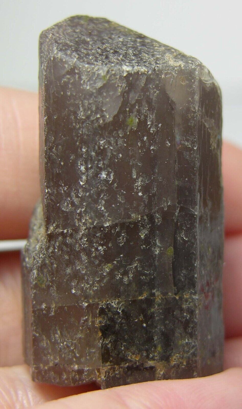 #19 Afghan 110.50ct Terminated Fluorescent Scapolite Crystal Specimen 22.0g 31mm