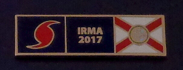 Hurricane Irma 2017 Florida State Flag Uniform Pin Gold FL