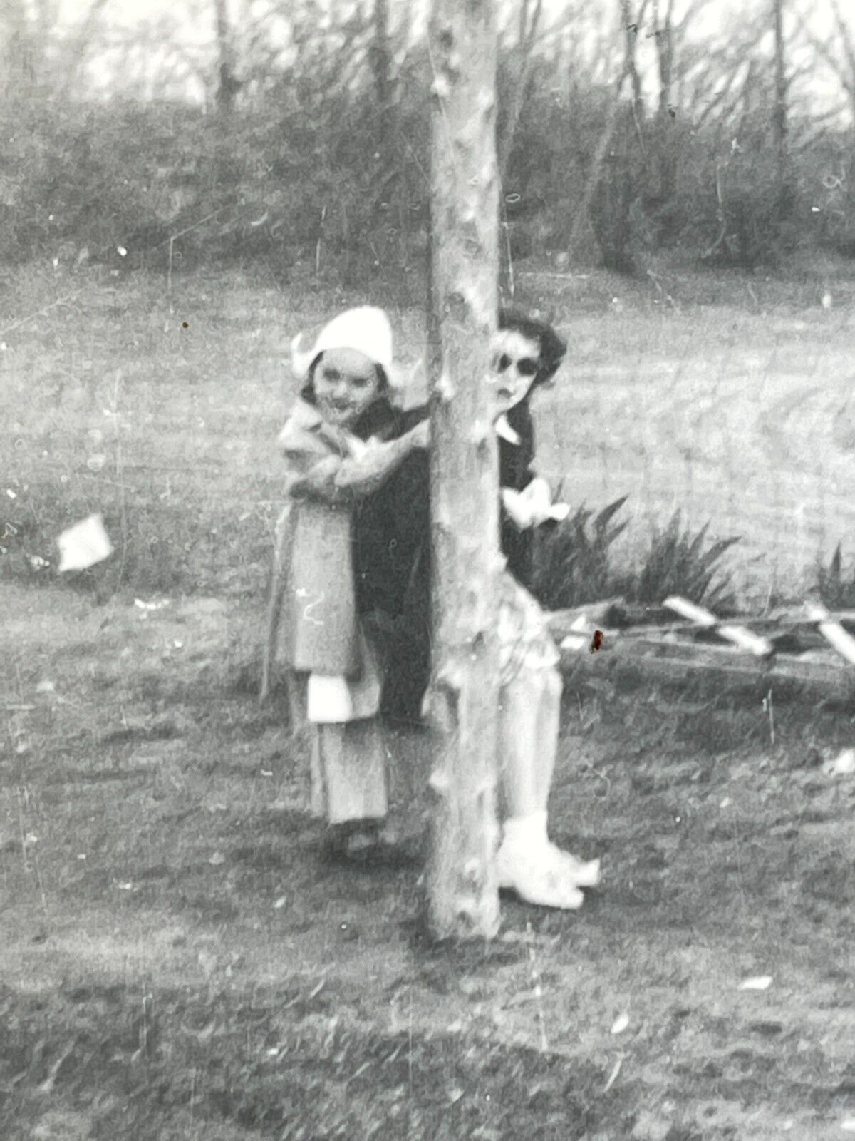 A8 Photograph Girls Trying To Hide Behind Tree 1950's
