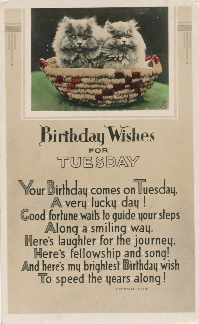 BIRTHDAY - Two Cats Birthday Wishes On Tuesday Art Deco Tuck Postcard - 1937