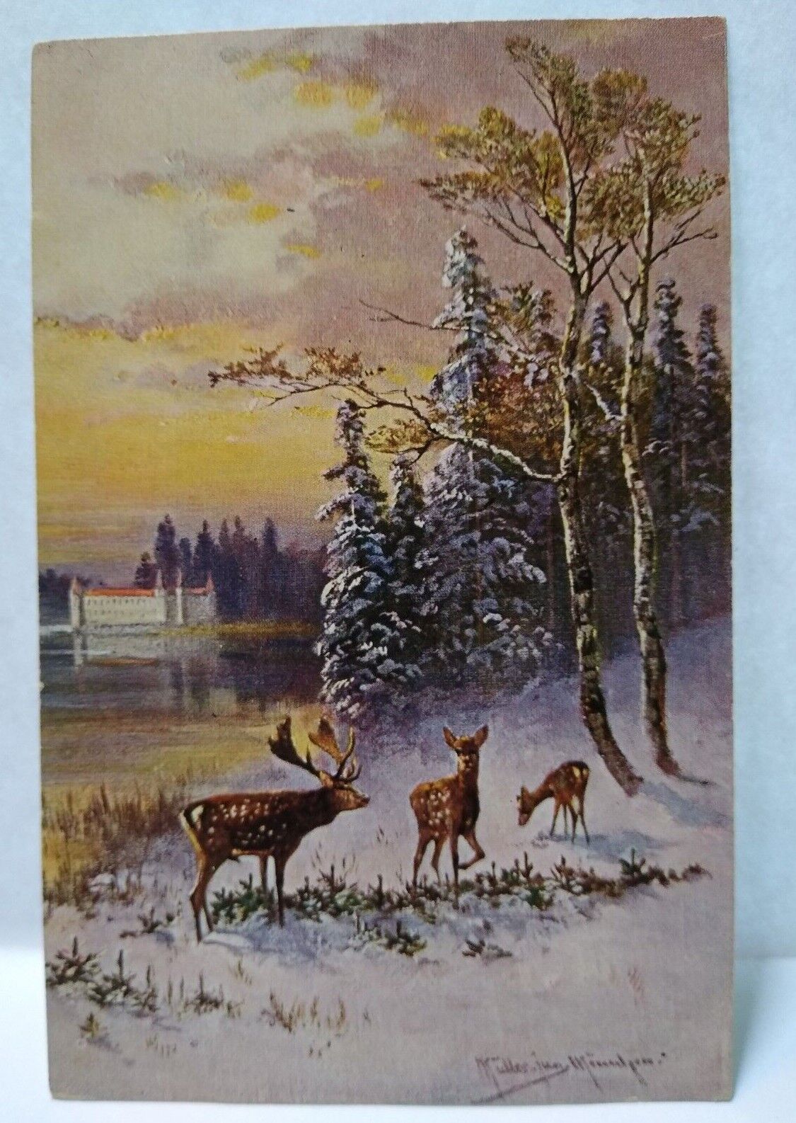 Deer Forest Trees Lake Scenic View Postcard Signed Muller Germany Serie 278 HK&M
