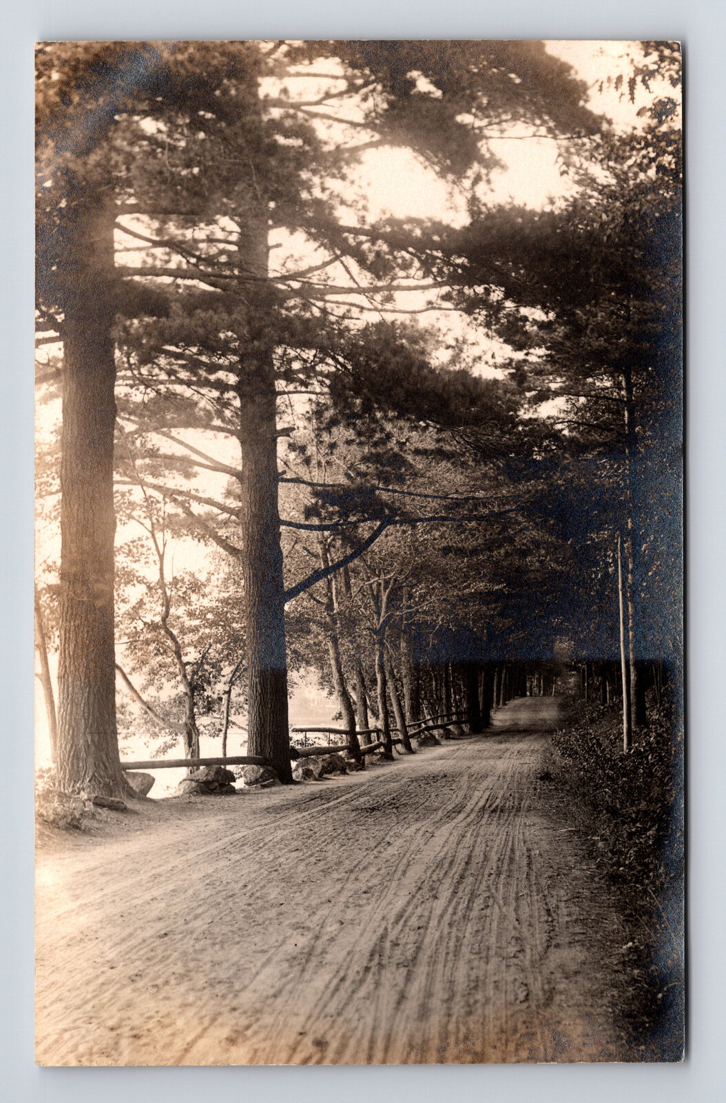 RPPC Beautiful Tree Lined Dirt Road by Lake Real Photo Postcard