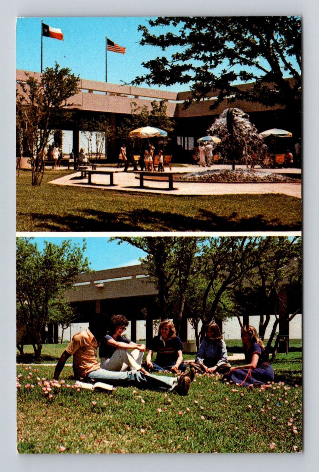 Odessa TX-Texas, University Of Texas Of Permian Basin, Antique Vintage Postcard