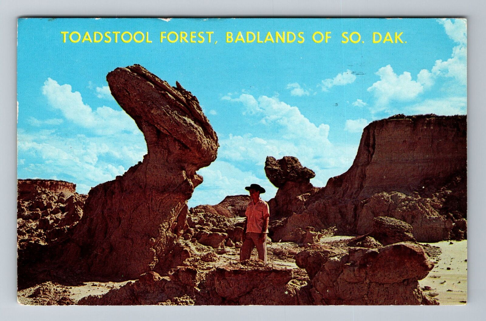 Badlands SD-South Dakota, Toadstool Forest, c1963 Vintage Postcard