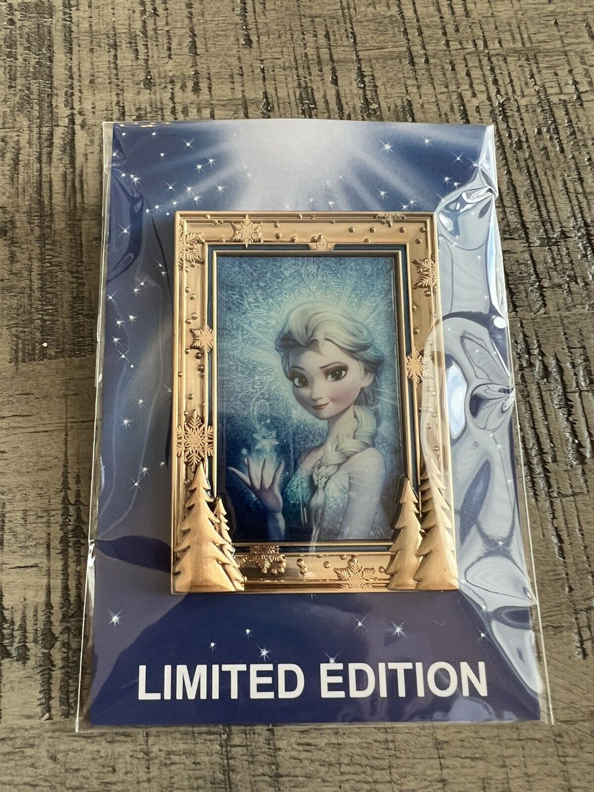 Elsa Frame Acme / HotArt LE300 Disney Pin Limited edition HTF RARE Frozen