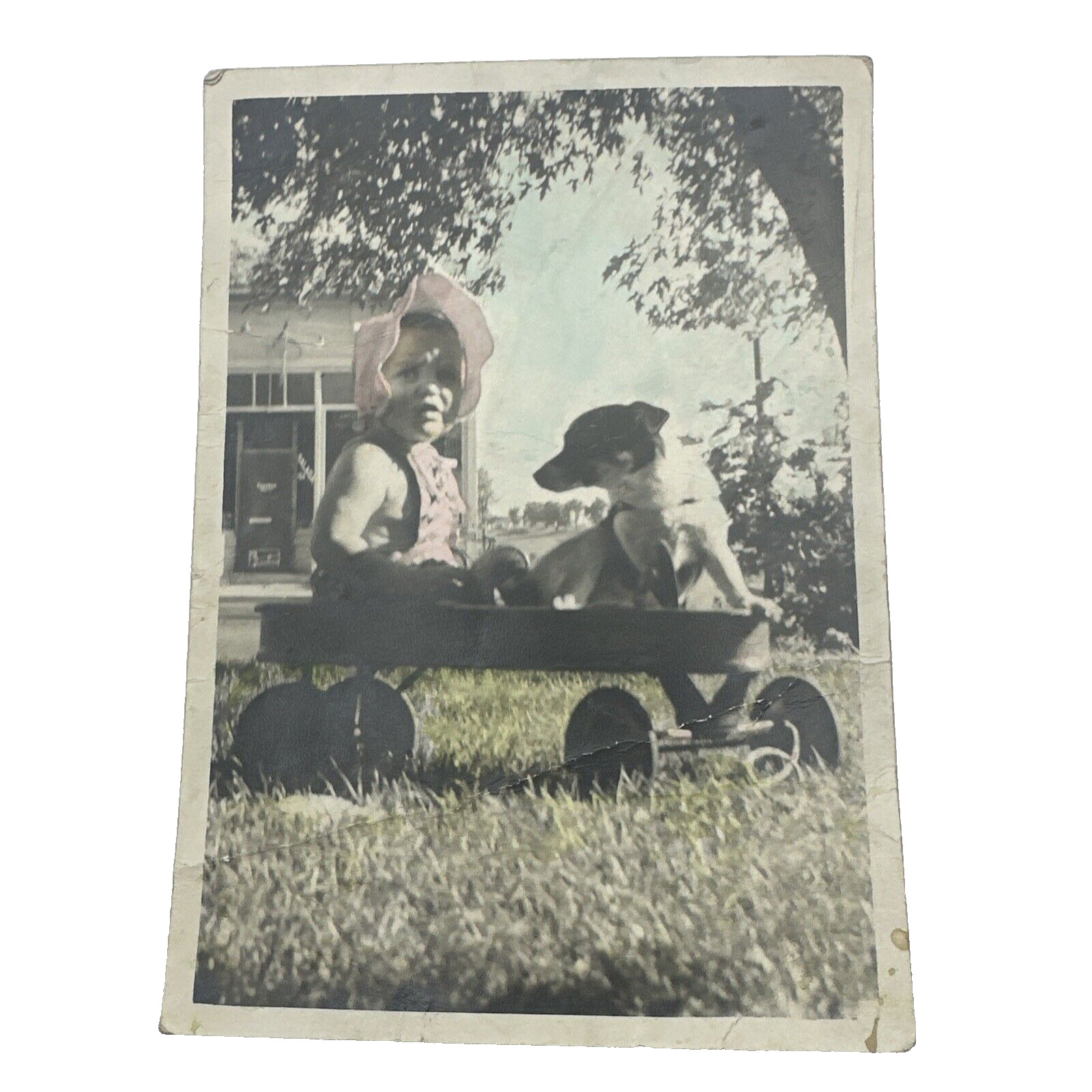 Antique Hand Tinted Photograph Baby with Dog in Wagon 5x7