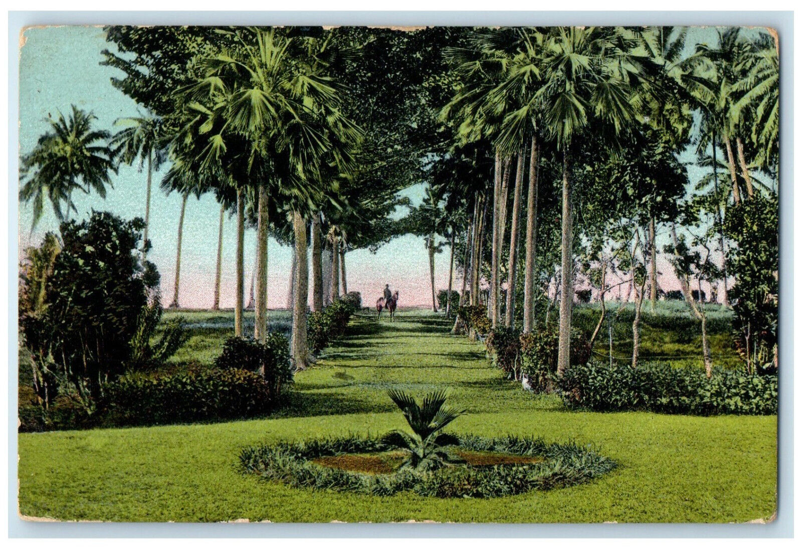 c1910 Man Riding Horse Garden View Greetings from Samoa Antique Postcard