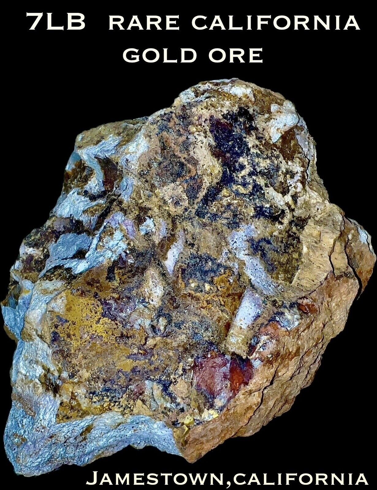 NATURAL-RAW-HIGHLY MINERALIZED-HIGH GRADE-RARE-GOLD ORE FROM THE MOTHERLODE