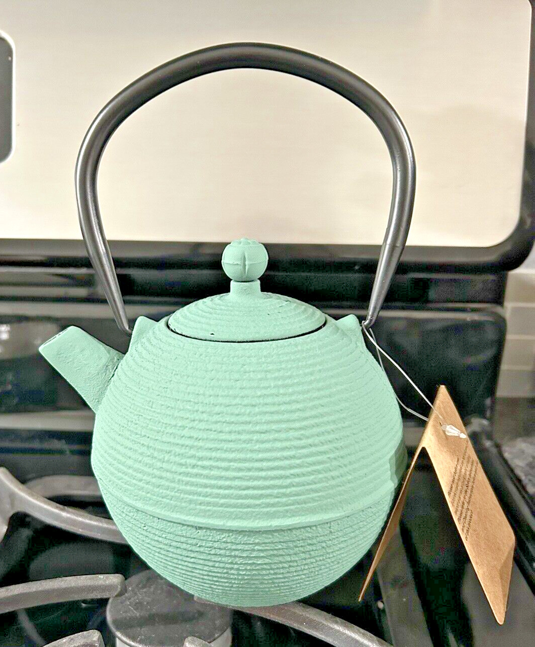 Pale Green Medium Ceramic Teapot By DesignPac New